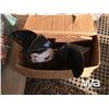 Image 2 : BOAT PROPELLERS & CAMPING SUPPLIES
