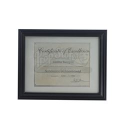 Marvel's Luke Cage (TV Series) - Claire Temple's Framed Certificate of Excellence