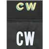 Image 3 : Marvel's Iron Fist (TV Series) - Pair of Colleen Wing's 'CW' Chairback Attachments