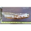 Image 3 : PETRIFIED WOOD