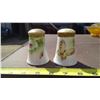 Image 2 : NIPPON HAND-PAINTED SALT AND PEPPER SHAKERS