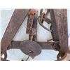 Image 2 : ANIMAL TRAP