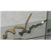 Image 1 : 1 PAIR OF CARVED AND PAINTED SNAKES