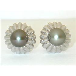 1380 VCA 18k White Gold Black Pearl Earrings