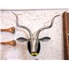 Image 1 : Metal Deer Head Wall Plaque - 11" x 18" x 18"