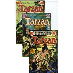 Tarzan Group (DC, 1972-74) Condition: Average VF. There 