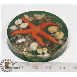 SEA CREATURES PAPER WEIGHT FROM FUNNY BAY. BC