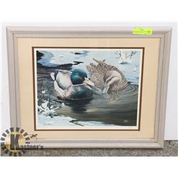 WINTER MALLARD DUCKS FRAMED PRINT WITH COA BY