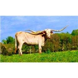 M ARROW CALENDAR GIRL