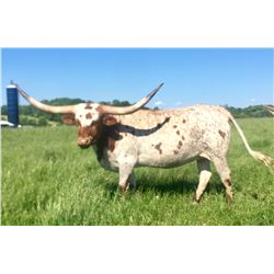 HUBBELLS CATCHIT GLORY