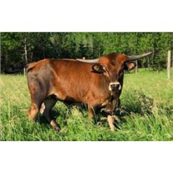 RVR SOUTHERN COMFORT