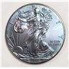 Image 1 : 2015 AMERICAN SILVER EAGLE RAINBOW