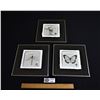 Image 1 : Set of 3 Rob Filler Polaroid Transfer Art in Floating Picture Frames