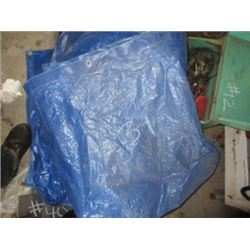 2 BLUE TARPS