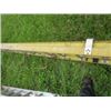 Image 1 : YELLOW EXTENSION LADDER