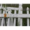 Image 2 : WHITE FENCING