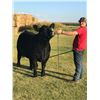 Image 1 : Justin Dye - 1395 LB Beef