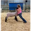 Image 1 : Shelby Harwood - 176 LB Sheep