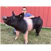 Image 1 : Ashton Nachtigal - 235 LB Swine