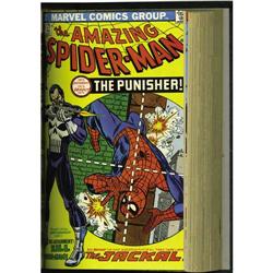 The Amazing Spider-Man #121-150 Bound Volumes 