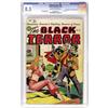 Image 1 : The Black Terror #24 Double Cover "D" Copy CGC VF+ 8.5 