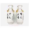 Image 2 : Pair Of Asian Vases With Gold Tone Finials