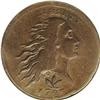 Image 1 : 1793 1C Wreath Cent--Vine and Bars, Damaged--ANACS. Fi 