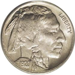 1920-D 5C MS65 PCGS. The 1920-D Buffalo nickel is a le 