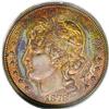 Image 1 : 1878 S$1 J-1559 PR64 Red and Brown PCGS.From The Derri 