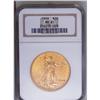 Image 1 : 1909 $20 MS61 NGC. A subtly lustrous mustard-yellow ex 