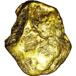 California Gold Nugget. Weight: 10.5 grams. Size: 19.2 