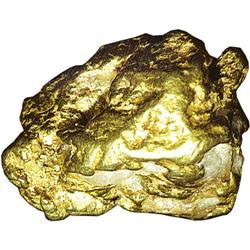 California Gold Nugget. Weight: 10.4 grams. Size: 18.5 