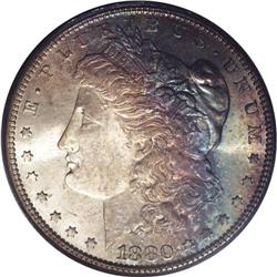 1880-S S$1 MS67 PCGS. The obverse has effusive champag 