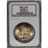 1889-S S$1 MS64 NGC. Well struck and lustrous, as is u 