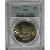 1889-S S$1 MS65 PCGS. Gold and maroon toning, broken o 