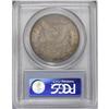 Image 4 : 1892-CC S$1 MS64 PCGS. Completely patinated in dusky g 