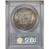 Image 4 : 1871 S$1 MS64 PCGS. Both the 1872 and the 1871 are con 