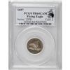 Image 3 : 1857 1C Flying Eagle PR64 Cameo PCGS. Snow-PR3, Double 