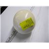 Image 1 : OSTRICH EGG