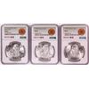 Image 1 : Lot of 1977-1979 Mexico 100 Pesos Silver Coins NGC MS66
