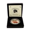 2013 $20 Cook Islands Masterpieces of Art Silver Coin w/ Box & COA