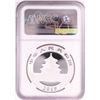 Image 2 : 2019 China 10 Yuan Panda Silver Coin NGC MS70 Early Releases