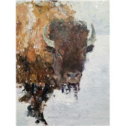 Troy Collins - Wild Medicine