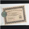 Image 2 : LIONHEART #1 (DYNAMIC FORCES COA)