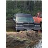 Image 1 : Cadillac Hearse