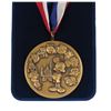 Image 2 : Disneyland Creativity Challenge Medal.