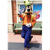 Image 6 : Goofy Walk-Around Character Costume.
