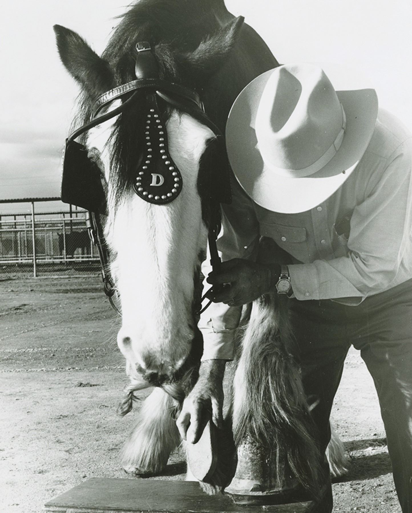 Owen Pope Disneyland Horse Bridle & Blinders. Van Eaton Galleries