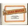 Image 2 : Splash Mountain One-of-a-Kind Sponsorship Pitch Book.