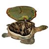Image 2 : Submarine Voyage Animatronic Sea Turtle.